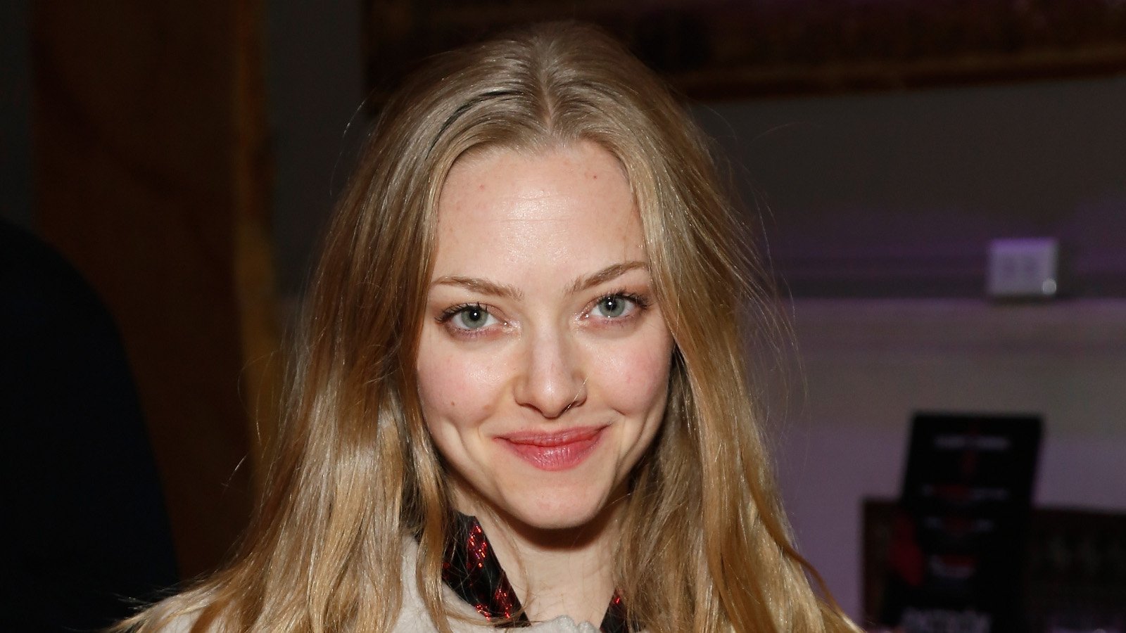 Amanda Seyfried To Star In Ted 2 0805