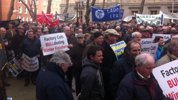 The IFA wants more live export markets to be opened for Irish cattle