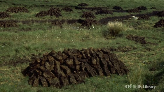 Turf bog in Casla, Co. Galway, 1977 © RTÉ Archives 0754/002