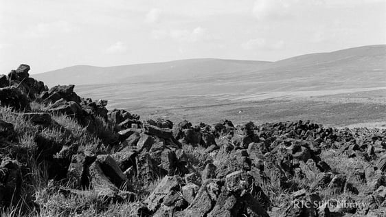 Turf Stacks, Wicklow Mountains © RTÉ Archives 2205/021