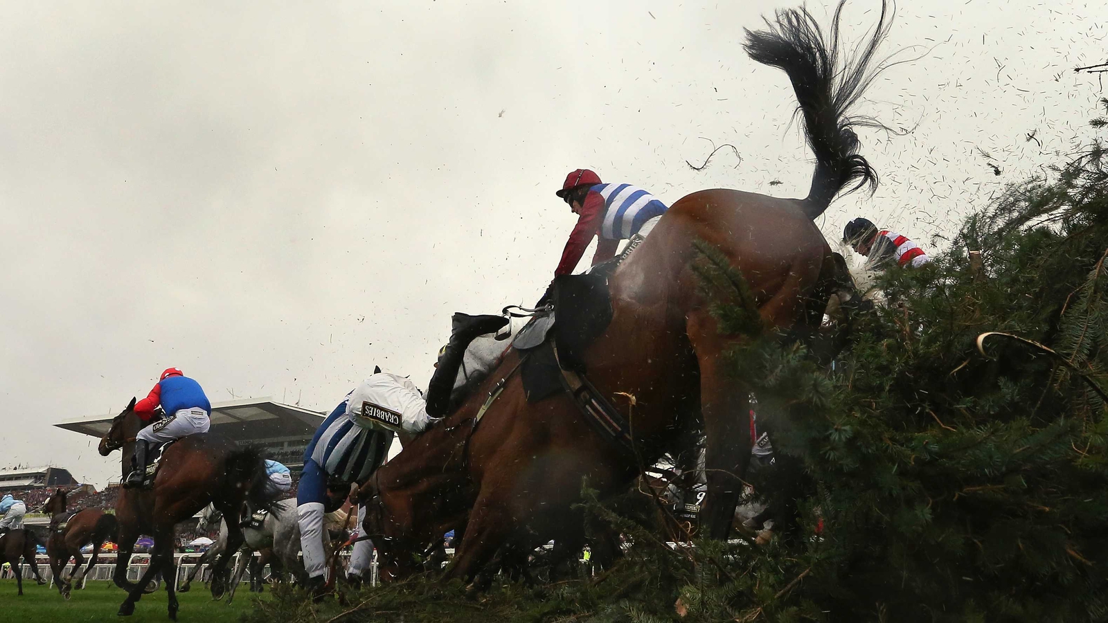 Grand National finishing order