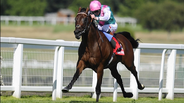 Kingman was narrowly beaten in the 2,000 Guineas at Newmarket