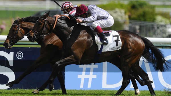 Cirrus Des Aigles (far side) is bidding for a remarkable 12th win at Longchamp
