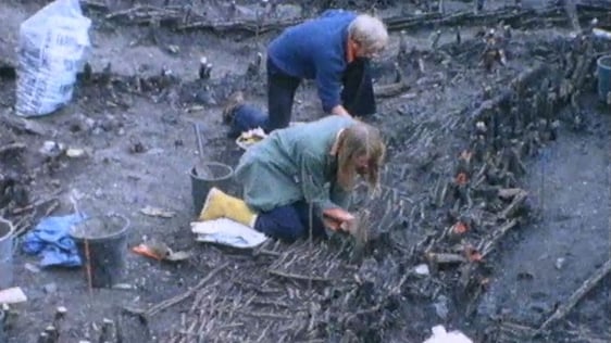 Archaeological Finds at Wood Quay