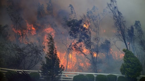 Trees burn as the Bernardo fire moves through a canyon between the Rancho Santa Fe and Fairbanks neighbourhoods north of San Diego