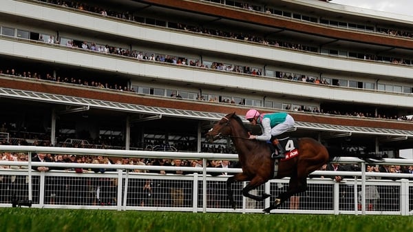Kingman is a best-price 4-5 favourite for the Irish 2,000 Guineas