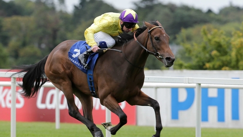 Trainer John Oxx has endured a luckless time with My Titania this season
