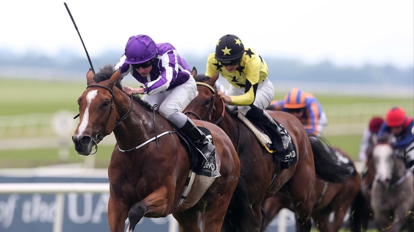 Marvellous could make a quick reappearance in the Oaks at Epsom on 6 June