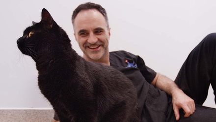 Cat - and dog's - best friend