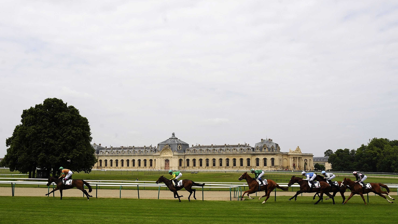 Sumbal set for Prix du Jockey Club at Chantilly