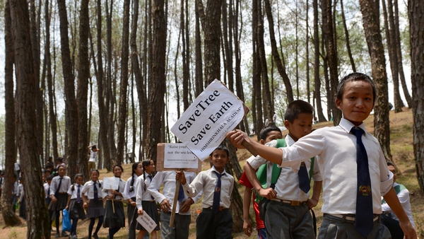 Schoolchildren taking part in the tree-hugging record attempt