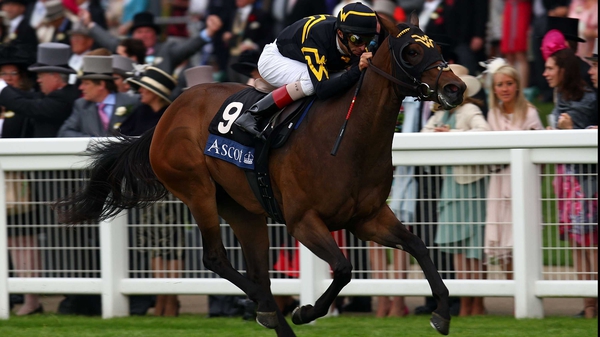 Wesley Ward specialises in training precocious juveniles, such as Jealous Again, a winner at Royal Ascot in 2009