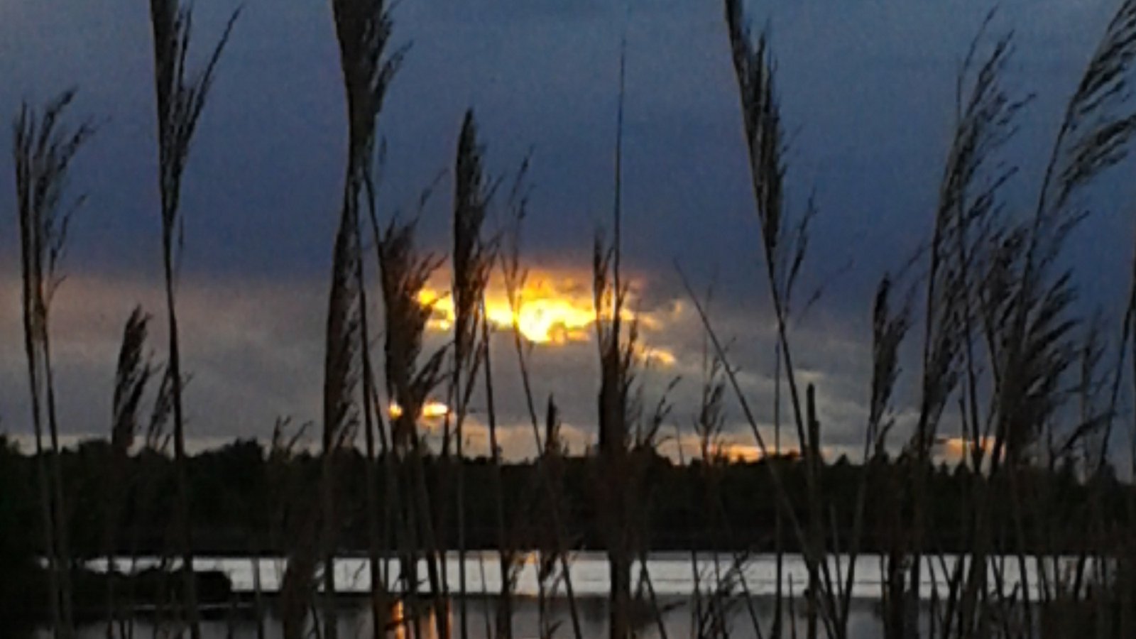 Bord na Móna upgrades trail at Lough Boora