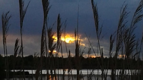 Lough Boora Discovery Park in Co Offaly