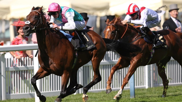 Kingman ridden by James Doyle breaks away to win the St James's Palace Stakes
