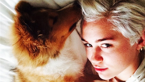 Miley Cyrus and her new dog Emu - Instagram/mileycyrus