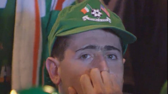 Irish Football Fan