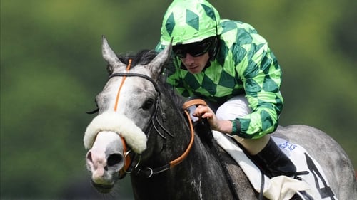 The Grey Gatsby is a top-price 8-1 for the Prince of Wales's Stakes