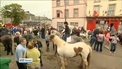 Crowds flock to Buttevant for Cahirmee Horse Fair Crowds flock to Buttevant for Cahirmee Horse Fair