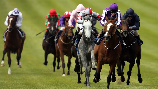 First Listowel race gets under way tomorrow at 2pm