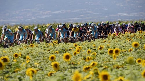 Vincenzo Nibali is tucked safely in the middle of the pack as they pass through a sunflower field