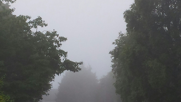 The fog is now expected to persist this evening and early tonight