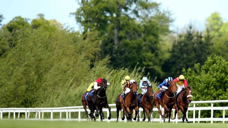 Jim Bolger landed the feature race on this card last year with Chance To Chance