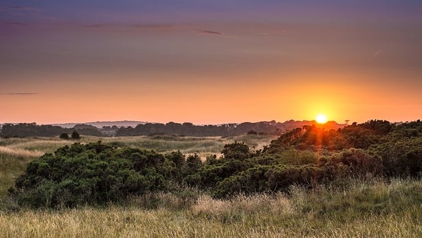 Termonfeckin landscape