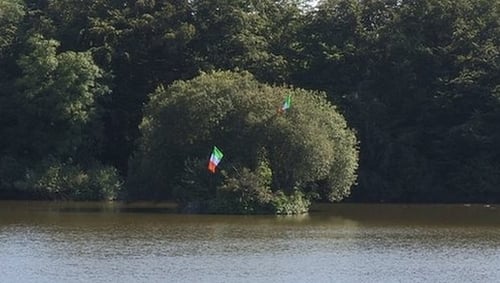 Two Irish tricolours were hung from trees on the island in Bessbrook Pond