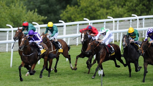Highland Reel is a top-price 12-1 for the 2014 Derby