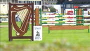 The Dublin Horse Show takes place at the RDS over the next five days (File image)