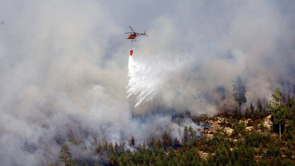 A helicopter dumps water on the wildfire in the village of Rorbo near Sala