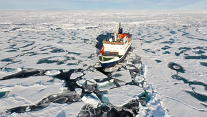 Arctic also saw the second-lowest overall sea-ice coverage and the lowest recorded winter ice in the Bering Sea