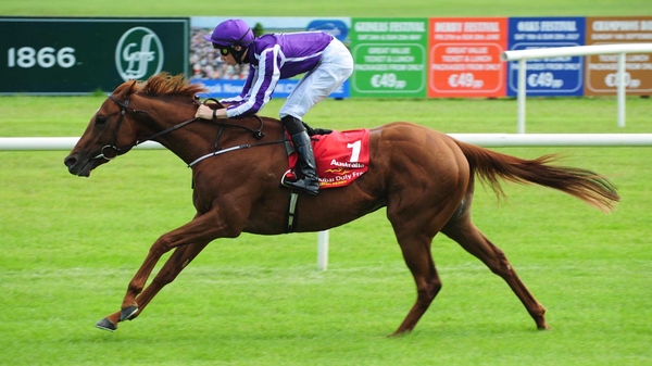 Australia takes on his elders for the first time in the Juddmonte International on Wednesday