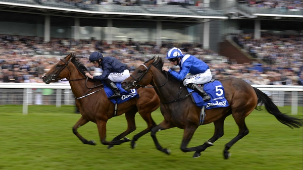 Tapestry has been absent from the racecourse since finishing a well-beaten 13th in last season's Prix de l'Arc de Triomphe