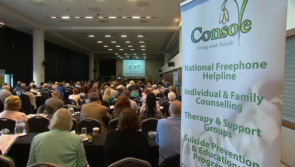Experts from the United States, Australia and Ireland attended the conference at Croke Park