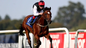 Free Eagle is a top price of 3-1 for the Champion Stakes
