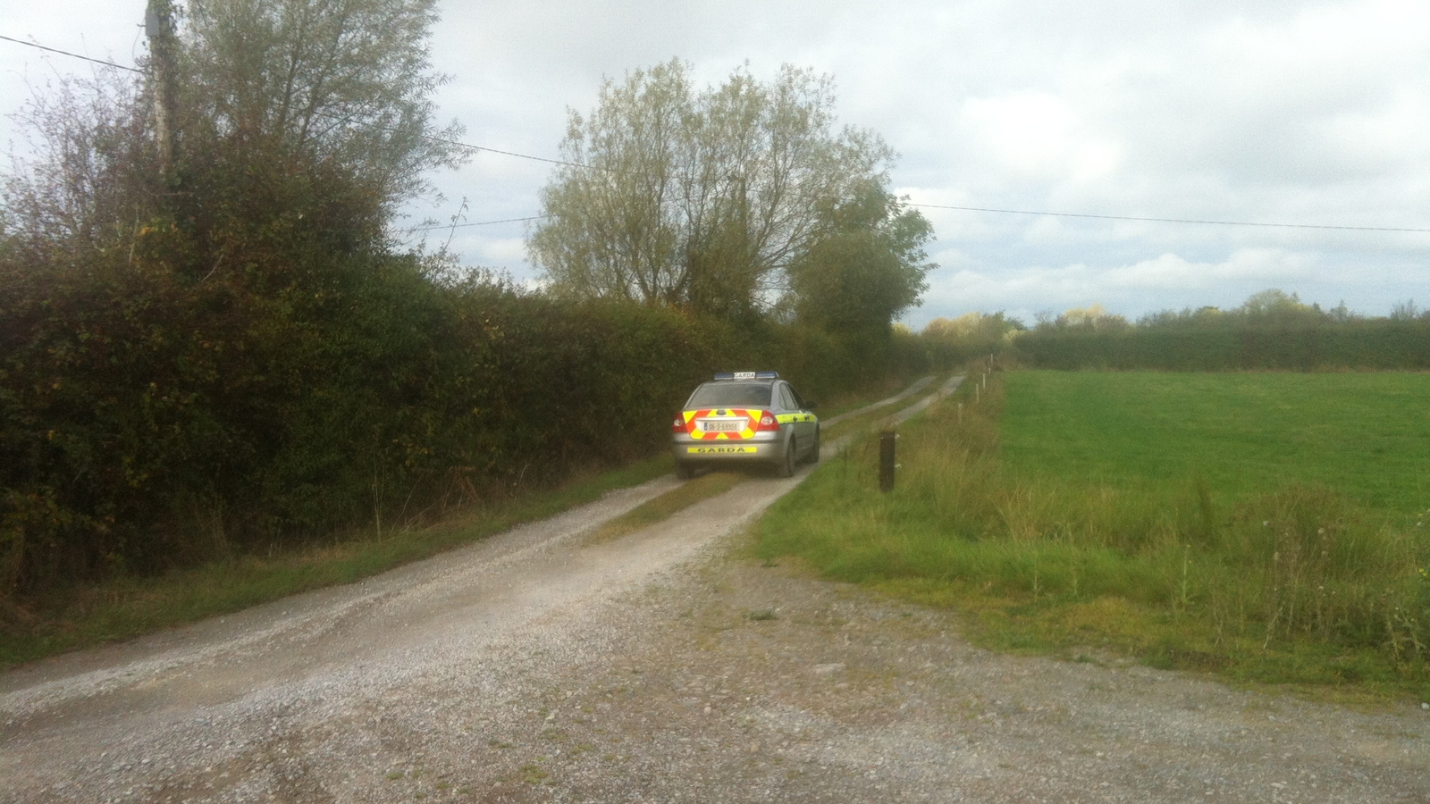 Brothers of girl killed in farm accident awarded €30k