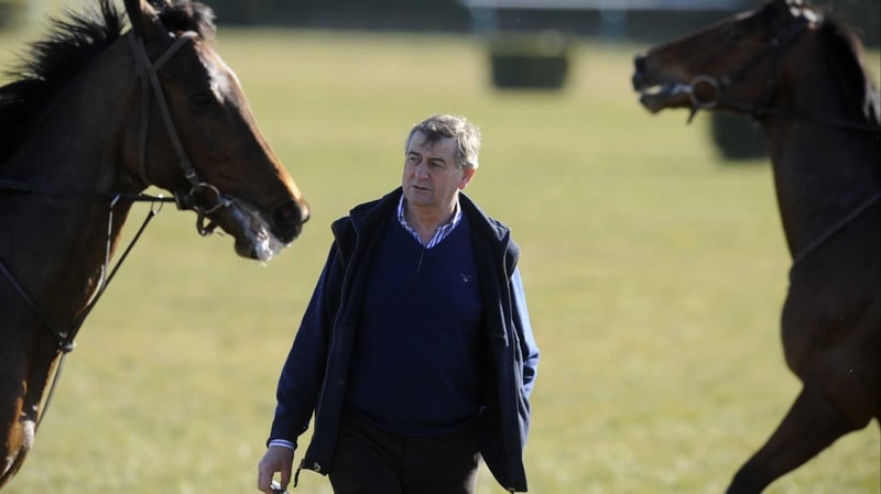 Noel Meade's Bose Ikard is highly fancied in Clonmel