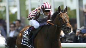 Cirrus Des Aigles will relish the testing conditions at Ascot