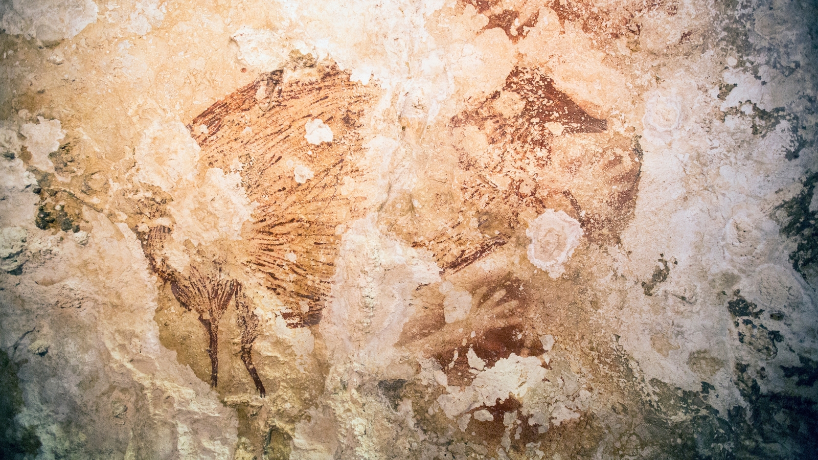 Cave Art Could Be Oldest Rock Art In World   00099916 1600 