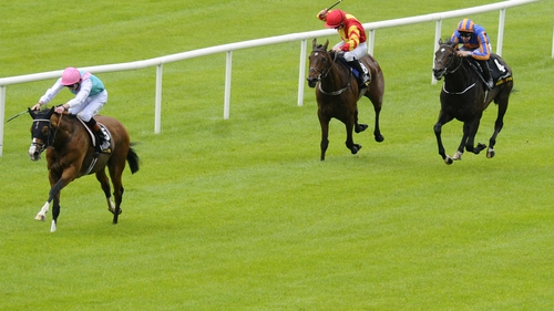 Noble Mission with James Doyle was an all-the-way winner of the 2014 Tattersalls Gold Cup at the Curragh