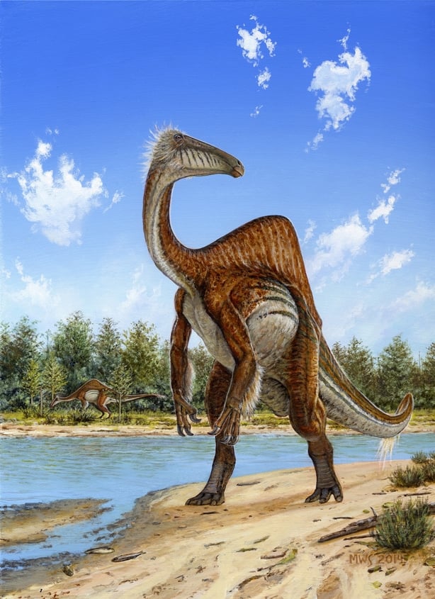 Humpback dinosaur looked like an ostrich