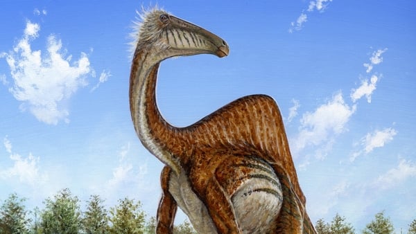 Deinocheirus mirificus had an elongated, duck-like snout and a humped back