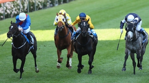 Adelaide (left) produced a rousing finish to take the Cox Plate