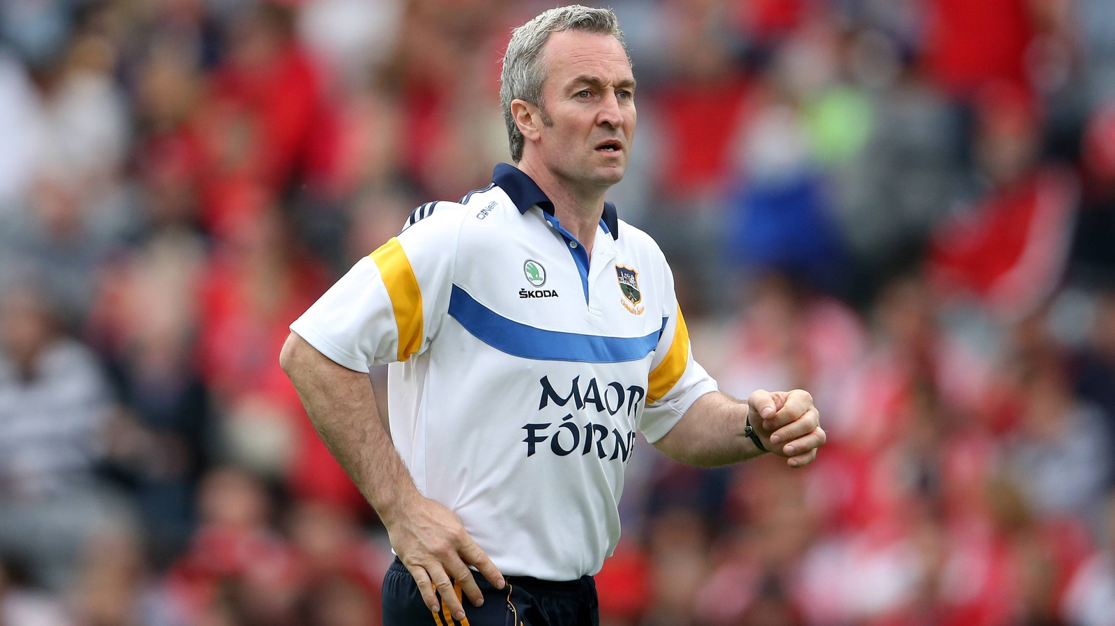 Tipperary Confirm Ryan To Succeed Oshea