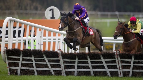 Arctic Fire filled third place behind Hurricane Fly in the Ryanair Hurdle at Leopardstown over Christmas