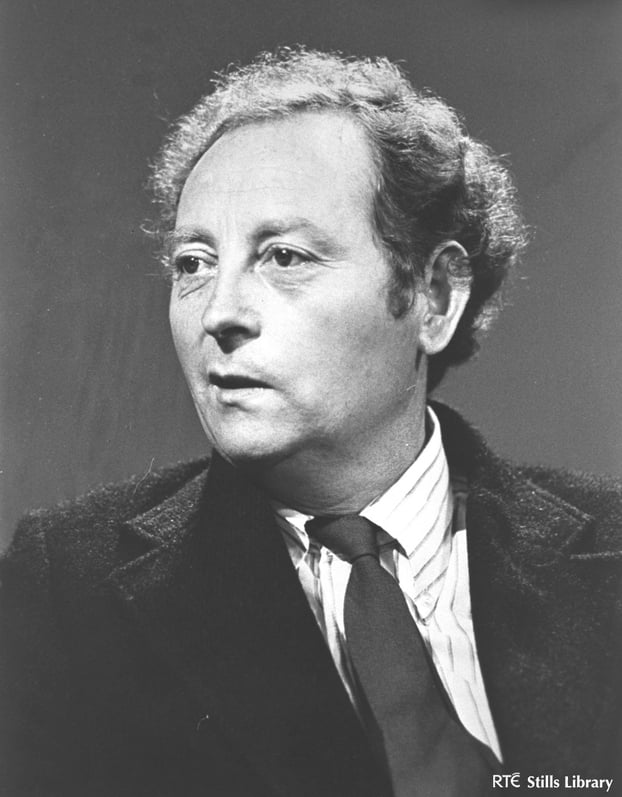 john mcgahern amongst