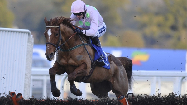 Annie Power could run in the Mares' Hurdle or World Hurdle at Cheltenham