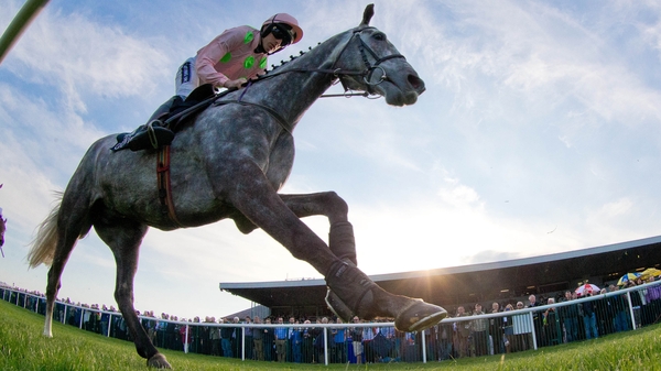 Newbury-bound Djakadam is trained by Willie Mullins